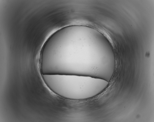 X0000103151103200808221122