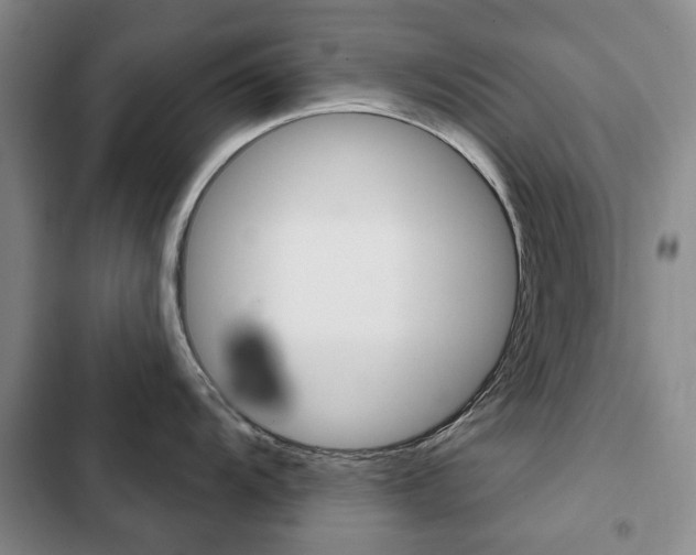 X0000103151104200808221122