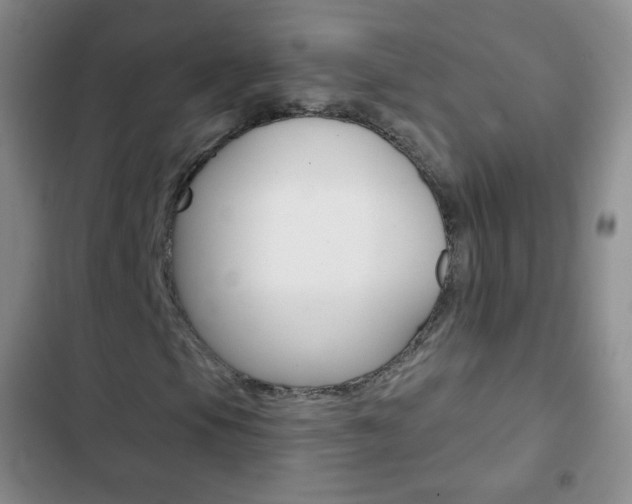 X0000103151105200808221121