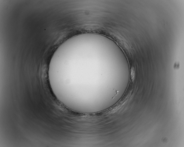 X0000103151107200808221122