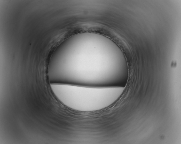 X0000103151108200808221122