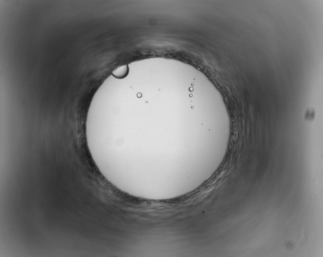 X0000103151109200808221122
