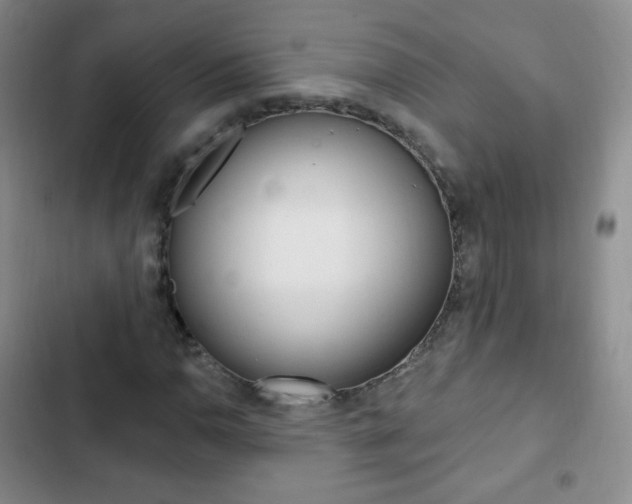 X0000103151110200808221122