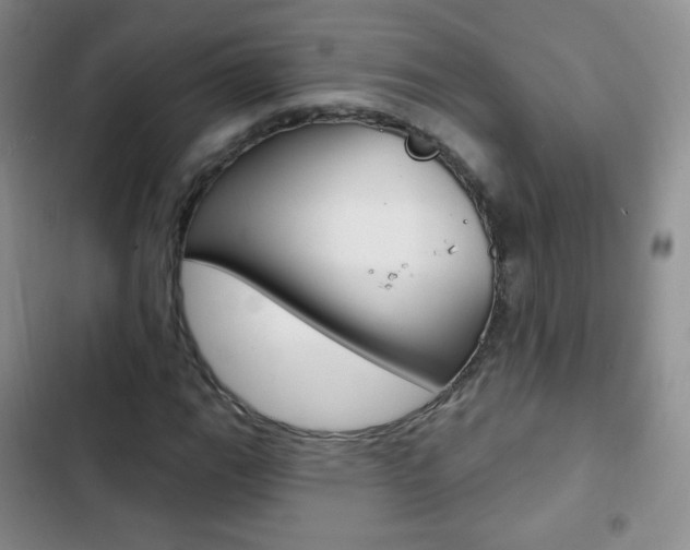 X0000103151111200808221122