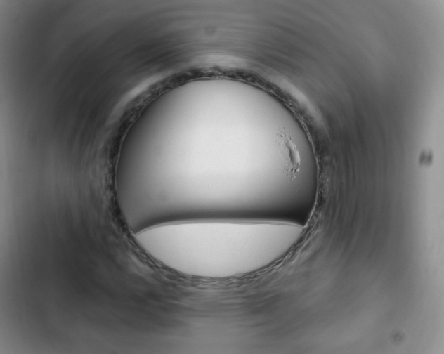 X0000103151112200808221122