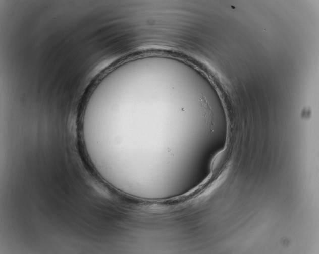 X0000103151113200808221122