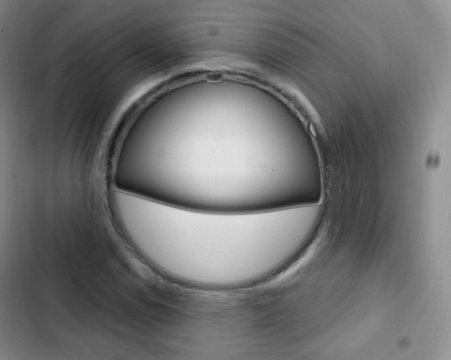 X0000103151114200808221122