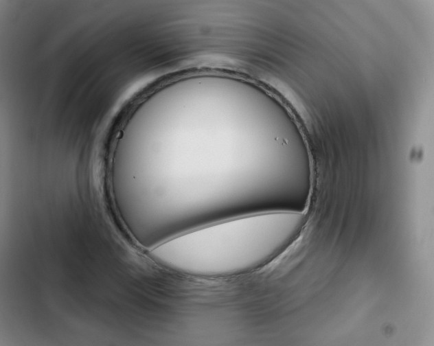 X0000103151115200808221122