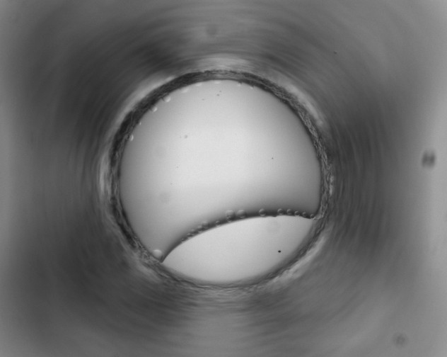 X0000103151117200808221122