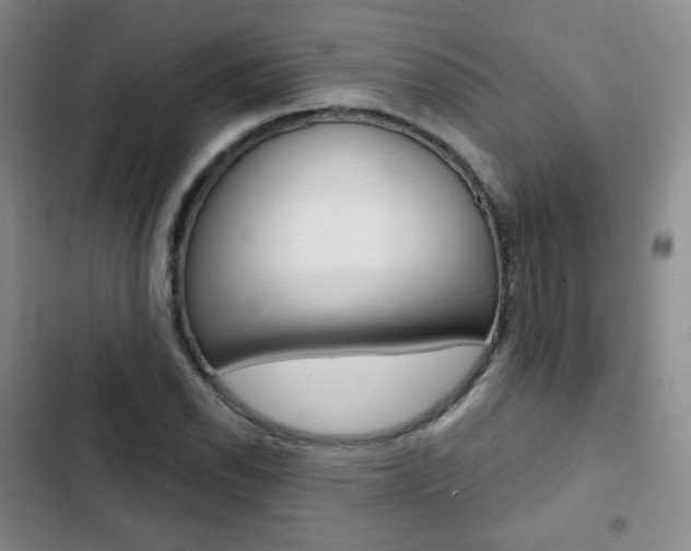 X0000103151118200808221122