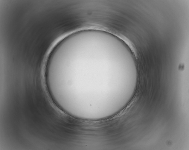 X0000103151120200808221122