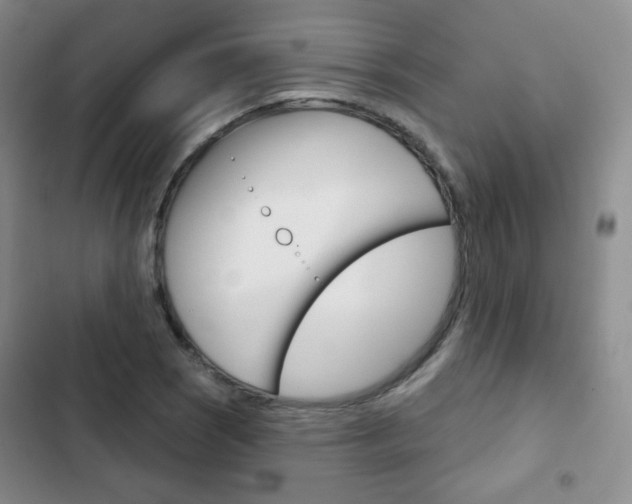 X0000103151121200808221122