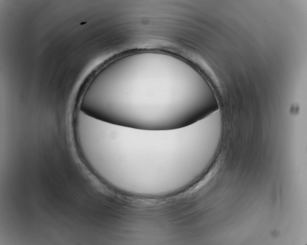 X0000103151122200808221122