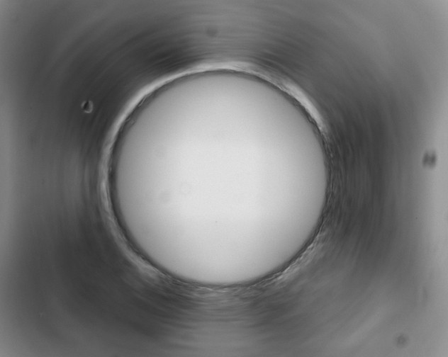 X0000103151124200808221122