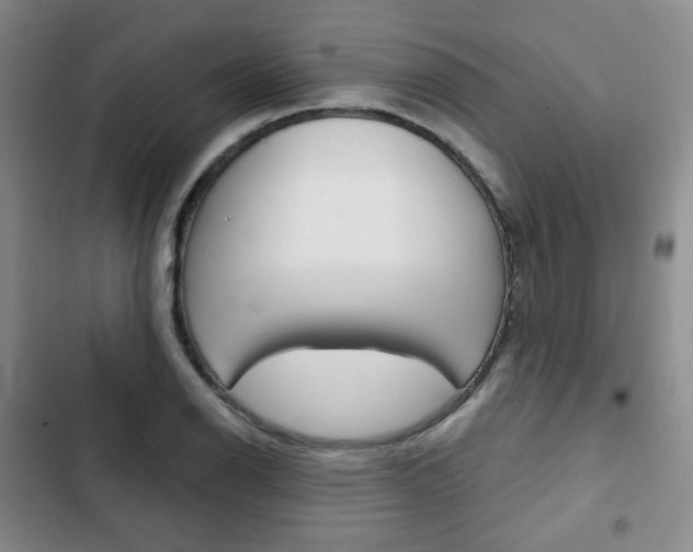 X0000103151126200808221122