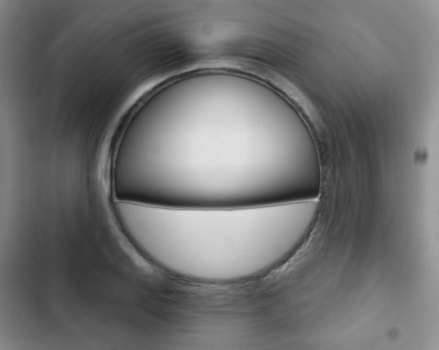 X0000103151127200808221122