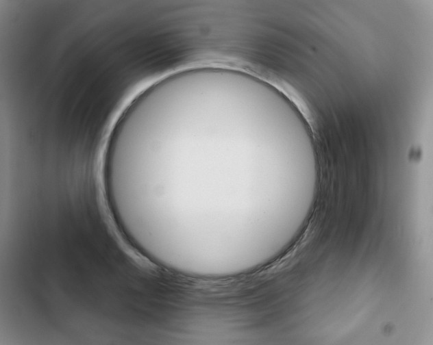 X0000103151128200808221122