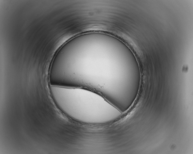 X0000103151129200808221122