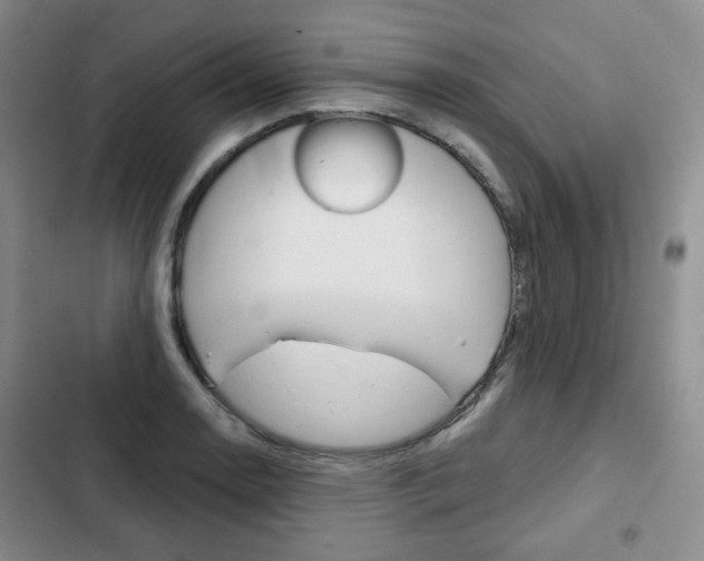 X0000103151130200808221122