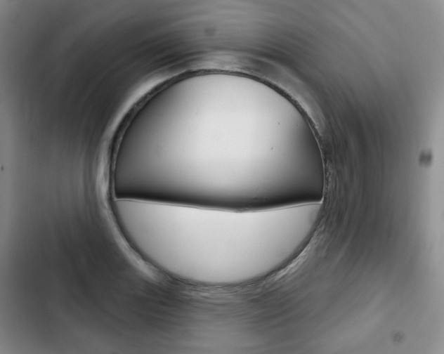 X0000103151131200808221122