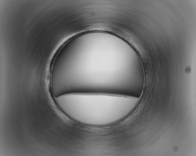 X0000103151132200808221122