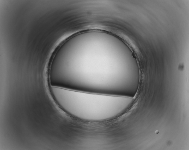 X0000103151133200808221122