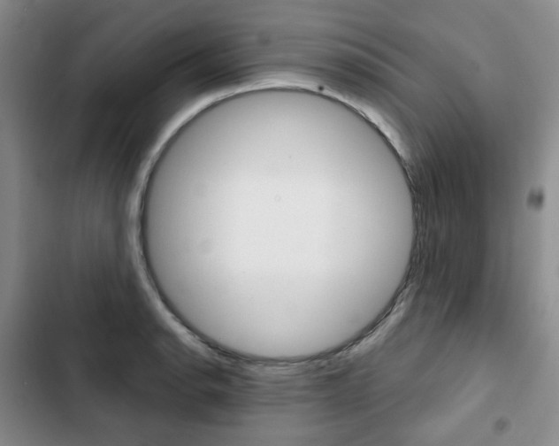 X0000103151134200808221122