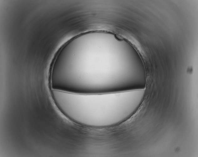 X0000103151135200808221122