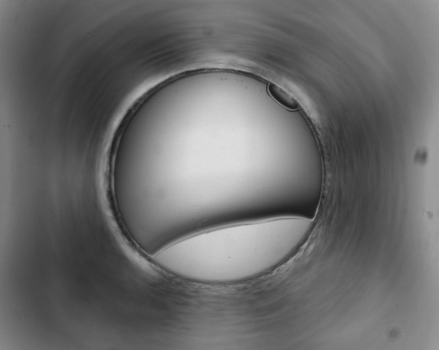 X0000103151136200808221122
