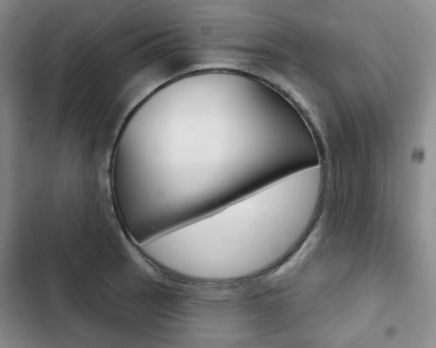 X0000103151137200808221122
