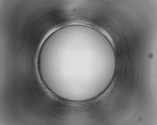 X0000103151138200808221122