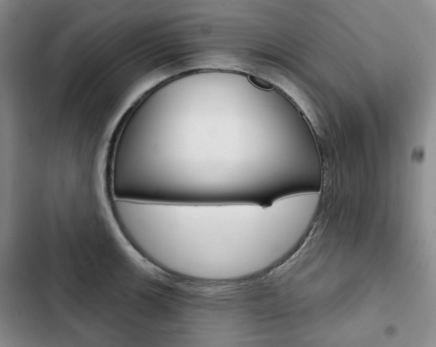 X0000103151139200808221122