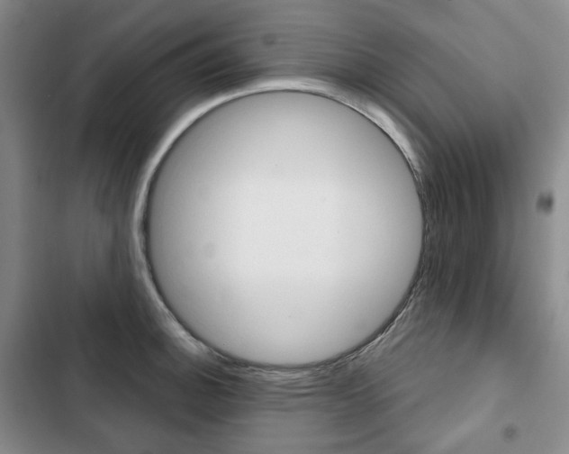 X0000103151140200808221122