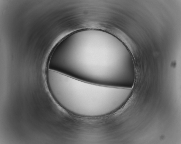 X0000103151141200808221122