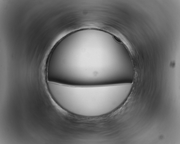 X0000103151143200808221122