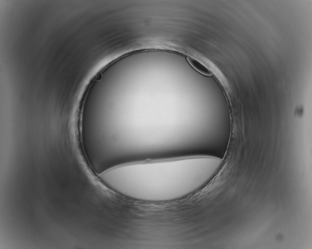 X0000103151144200808221122