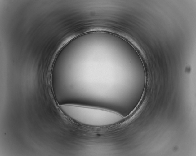X0000103151145200808221122