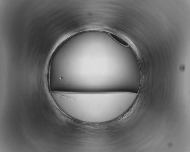 X0000103151146200808221122