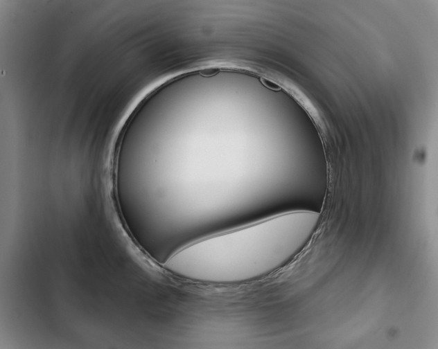 X0000103151148200808221122