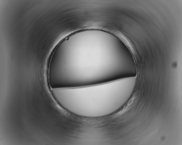X0000103151149200808221122