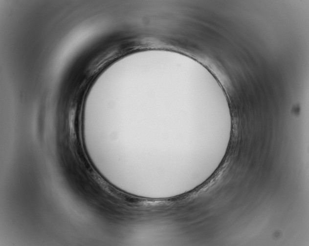 X0000103151150200808221122