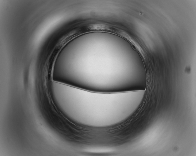 X0000103151151200808221122