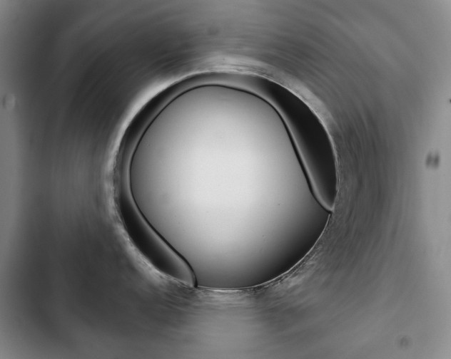 X0000103151152200808221122