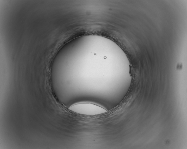 X0000103151153200808221121