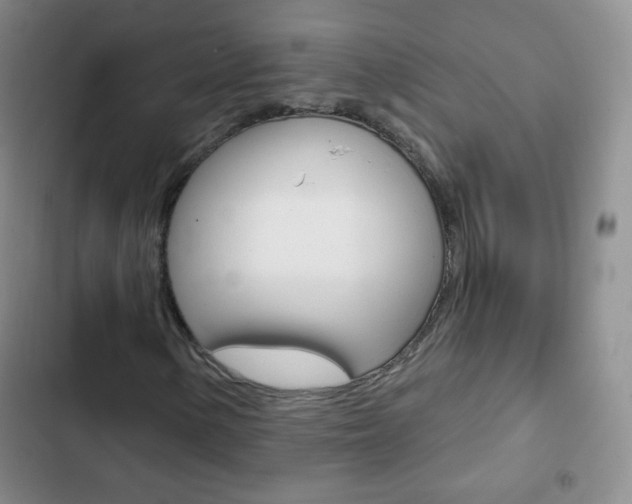 X0000103151154200808221121