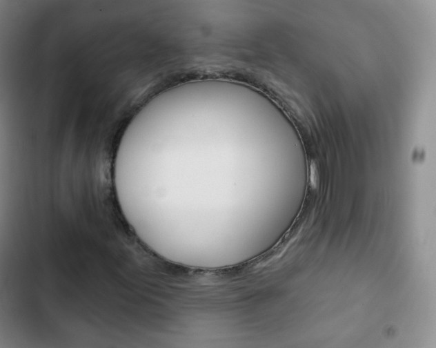 X0000103151155200808221121