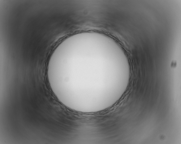 X0000103151157200808221121