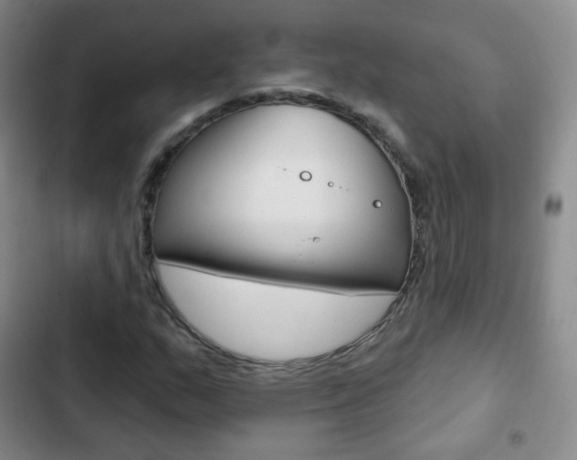 X0000103151159200808221121