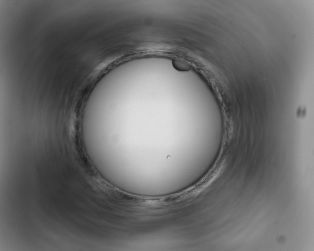 X0000103151161200808221121