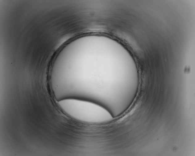 X0000103151162200808221121